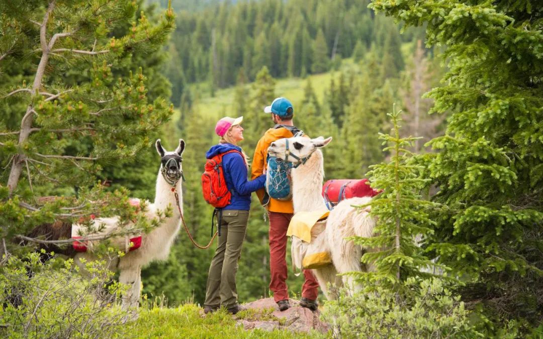 48b9eed46a99883809d044e196c72780 48b9eed46a99883809d044e196c72780