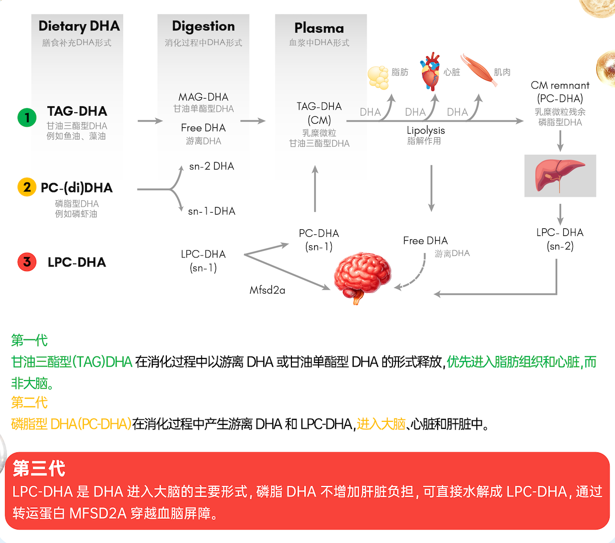 “WPS图片20260206173132”大