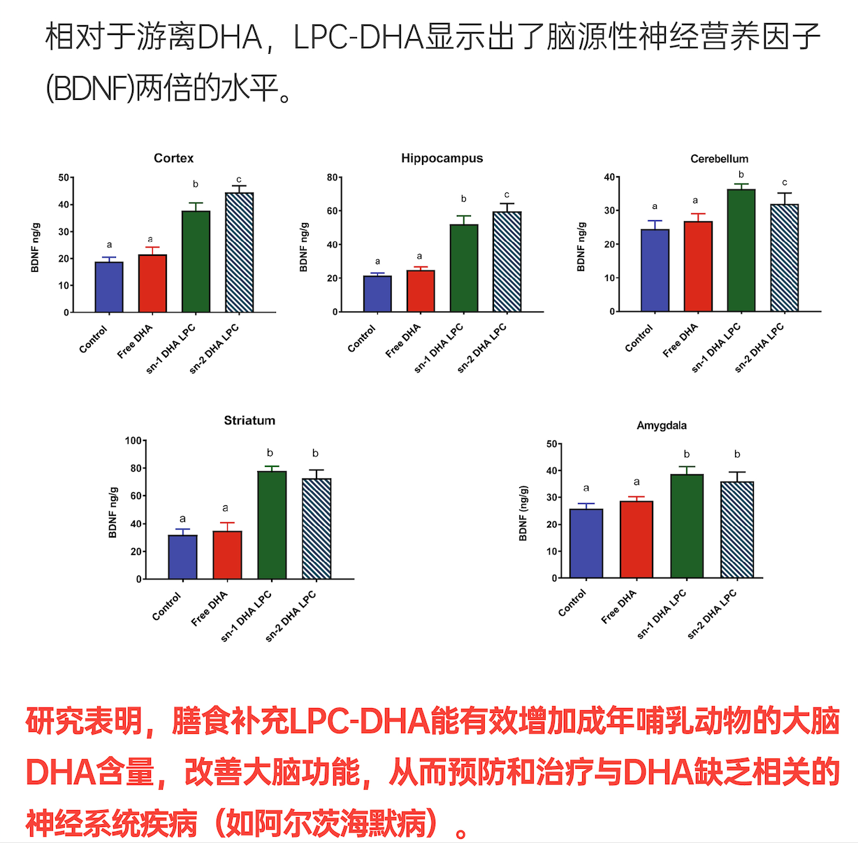 “WPS图片20260206173141”大
